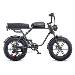 ENGWE M1 250W Elektrofahrrad 20 Zoll FatBike E-Bike E-Mountainbike Herren Sport