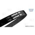 Keilrippenriemen OPTIBELT 6 PK 1070 Optibelt-RBK für AUDI BMW CITROËN FIAT SEAT