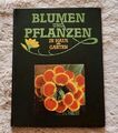 Blumen und Pflanzen in Haus und Garten