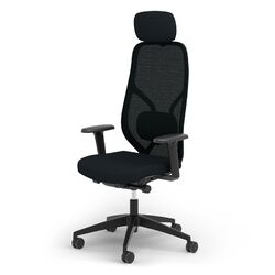 Ergotopia MasterBack ergonomischer Bürostuhl Schreibtischstuhl - B-WARE