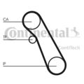 CONTINENTAL CTAM Wasserpumpe + Zahnriemensatz CT983WP1 für FORD FOCUS 1 DFW DNW