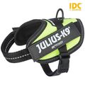 Julius-K9 IDC Powergeschirr Neon Gr.Baby2 Chihuahua Yorkshire Terrier Pudel