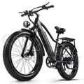 26 Zoll E-Bike 1000W E Mountainbike 48V 20Ah Akku Elektrofahrrad 45km/h