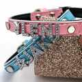 Bling Hundehalsband Mit Namen Strass Buchstaben Personalisiert Halsband Leder