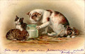 AK KATZE KATZEN MIT EINEM GLAS MILCH COL. 1903