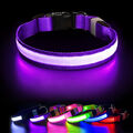 Hundehalsband Leuchthalsband Hund LED USB Aufladbar Akku Halsband Gr. S M L XL