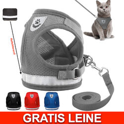 Hundegeschirr Katzen Hunde Brustgeschirr verstellbar Gr. S M L gepolstert Nylon🐶 BLITZLIEFERUNG 🐈 VERSCH. GRÖßEN🐶 INKL. LEINE 🐈