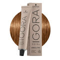 Schwarzkopf Igora Royal Absolutes 7-50 Natürliches Mittel Goldblond 60ml