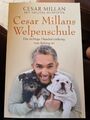 Cesar Millan: Cesar Millans Welpenschule (9783442220212)