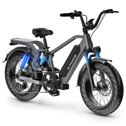 Elektrofahrrad 750W 48V E-Bike 20 Zoll E-Citybike15AH 25AH 95-125km Reichweite