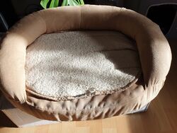 Orthopäd.Hundebett Liegefläche 50x45 cm Bezug Velour waschbar mit Reisverschluss