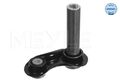 MEYLE 3163332101 Querlenker Hinten für BMW 5 E39 E60 E61 6 E63 E64 7 E38