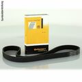 CONTINENTAL CTAM Keilrippenriemen R4PK867 ELAST passend für BMW 5 E61 / X5 E70