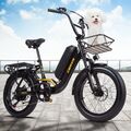 EBike 20 Zoll Elektrofahrrad Damen/Herren Leichtes E-Mountainbike 25km/h Pedelec