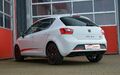 Friedrich Motorsport Sportauspuff Gruppe A Anlage für Seat Ibiza 6J Facelift 6P