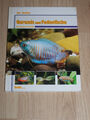 Guramis u. Fadenfische  Aquaristik - Aquarium - gebundene Ausgabe - bede Verlag