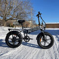 20 Zoll  ENGWE EP-2 PRO E-Bike Elektrofahrrad 250W E-Mountainbike Fat Bike EU