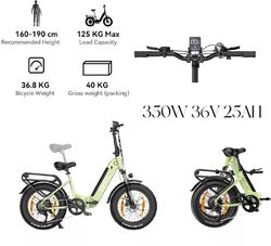 NEW Klapprad Elektrofahrrad 20Zoll Fat Tire 65Nm250W Motor Ebike HerrenDamen25Ah