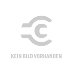 Riegler Inline-Druckregler für Trinkwasser ohne Entlüftung G 1/4 6 bar