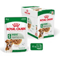 12x85 g Royal Canin MINI AGEING Stückchen in Soße kleine ältere und Senior Hunde