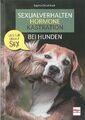 Sexualverhalten Hormone Kastration bei Hunden Handbuch/Ratgeber/Hundebuch/Hund