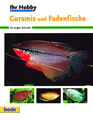 Guramis und Fadenfische - Ihr Hobby Aquaristik von Dr. Jürgen Schmidt