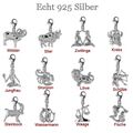 ❤️ Charm Anhänger Sternzeichen für Bettelarmband Charms 925 Silber Schmuck Neu 