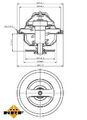 NRF 725117 Thermostat, Kühlmittel