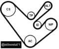 Continental CTAM 6PK1555K4 Keilrippenriemensatz Keilriemen Satz für VW 