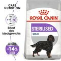 ROYAL CANIN STERILISED MAXI Trockenfutter für kastrierte große Hunde 3 kg