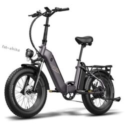 HOT FAFREES FF20 POLAR 20 Zoll EBike Elektrofahrrad 500W  E-Mountainbike FatBike