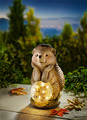 LED Deko Figur Igel mit Leuchtkugel Craquele Garten Terrasse Herbst Deko Balkon