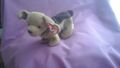 TY Beanie Babys Tuffy the Terrier 12. Oktober 1996