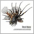 Real Ibiza/Mix von Various | CD | Zustand sehr gut