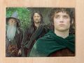 Herr der Ringe Trilogie Gefährten Promo Karte P1 von Topps 2004