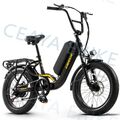 20 Zoll Elektrofahrrad eBike 48V 15Ah Akku Fettreifen E-Mountainbike 25km/h MTB