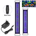 LED Aquarium Lampe mit timer Aufsetzleuchte Vollspektrum Licht RGB Kppzucmqenmyl