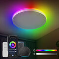 LED Deckenlampe Smart RGB Deckenleuchte Schlafzimmer Lampe WLAN APP mit Alexa