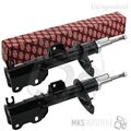 2x ASHIKA Stoßdämpfer SET/Satz hinten links und rechts für PEUGEOT