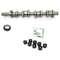 Nockenwellenkit Guss für Audi VW 1.9 038109101R