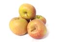 Äpfel Boskoop Boskop vom Bodensee säuerlicher Apfel 1-10 KG