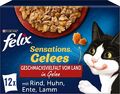 FELIX Sensations Gelees Katzen nassfutter  in Gelee, Sorten-Mix, 72 X 85g