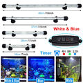 LED Aquarium Lampe Leuchten Mollusken Beleuchtung Weiß & Blau Aquariumleuchte DE