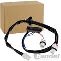 HECKKLAPPENÖFFNER TASTER KOFFERRAUM für NISSAN X-TRAIL T-31 MIT KABEL + STECKER
