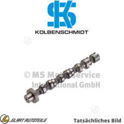 NOCKENWELLE FÜR AUDI BNG/BMK/BKN/BUN/CAPA/CCWA/CASA/CCWB/CDYA/CASB/CCMA 3.0L A6 