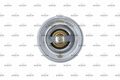 NRF (725228) Thermostat Kühlmittel für OPEL RENAULT VOLVO