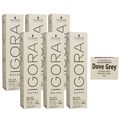 Schwarzkopf Igora Royal Absolutes Silver White 6 x 60 ml Dove Grey - Rauch Grau 