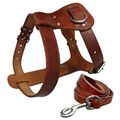 Echtes Leder Hundegeschirr und Hundeleine Verstellbar Braun Ledergeschirr S/M/L