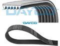 DAYCO 6PK815S Keilrippenriemen Keilriemen für Fiat 