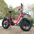 ENGWE L20 E-bike Elektrofahrrad 20 Zoll 250W Klapprad Fahrrad Pedelec e Citybike